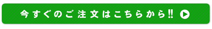 今すぐのご注文はこちらから行えます!!